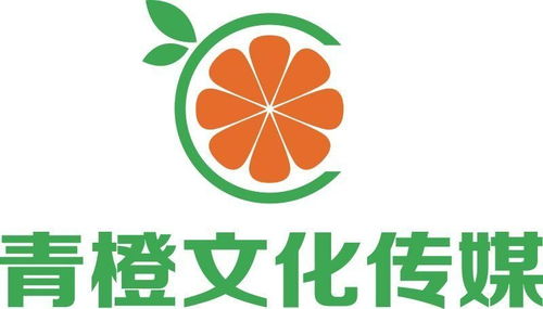 河南青橙文化传媒 文化传播的璀璨新星