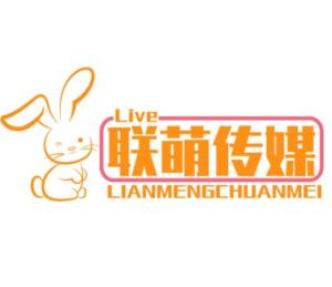 辽宁联萌文化传媒 文化传播的桥梁与创新力量